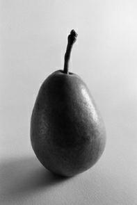 poire noir et blanc, ducruet