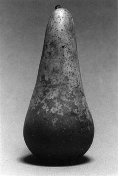 poire conférence, ducruet