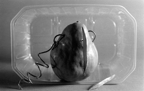 photo de torture-ducruet