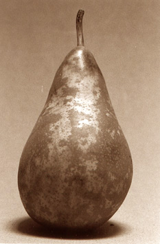 tirage sépia, poire ducruet