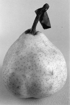 noir et blanc, poire, ducruet