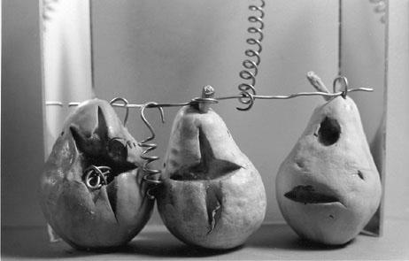 photo d'execution- ducruet