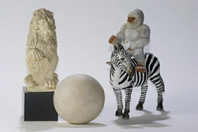 gorille, zebre, lion