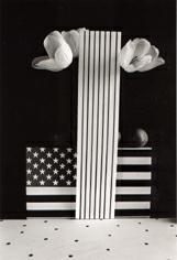 still live american, nature morte am&eacute;ricaine, photo MICHEL DUCRUET