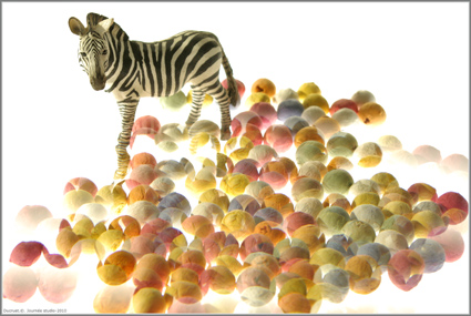 boules couleur, zebre, ducruet
