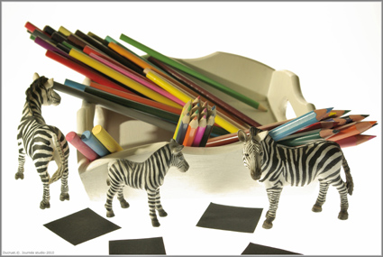 trois zebres, ducruet